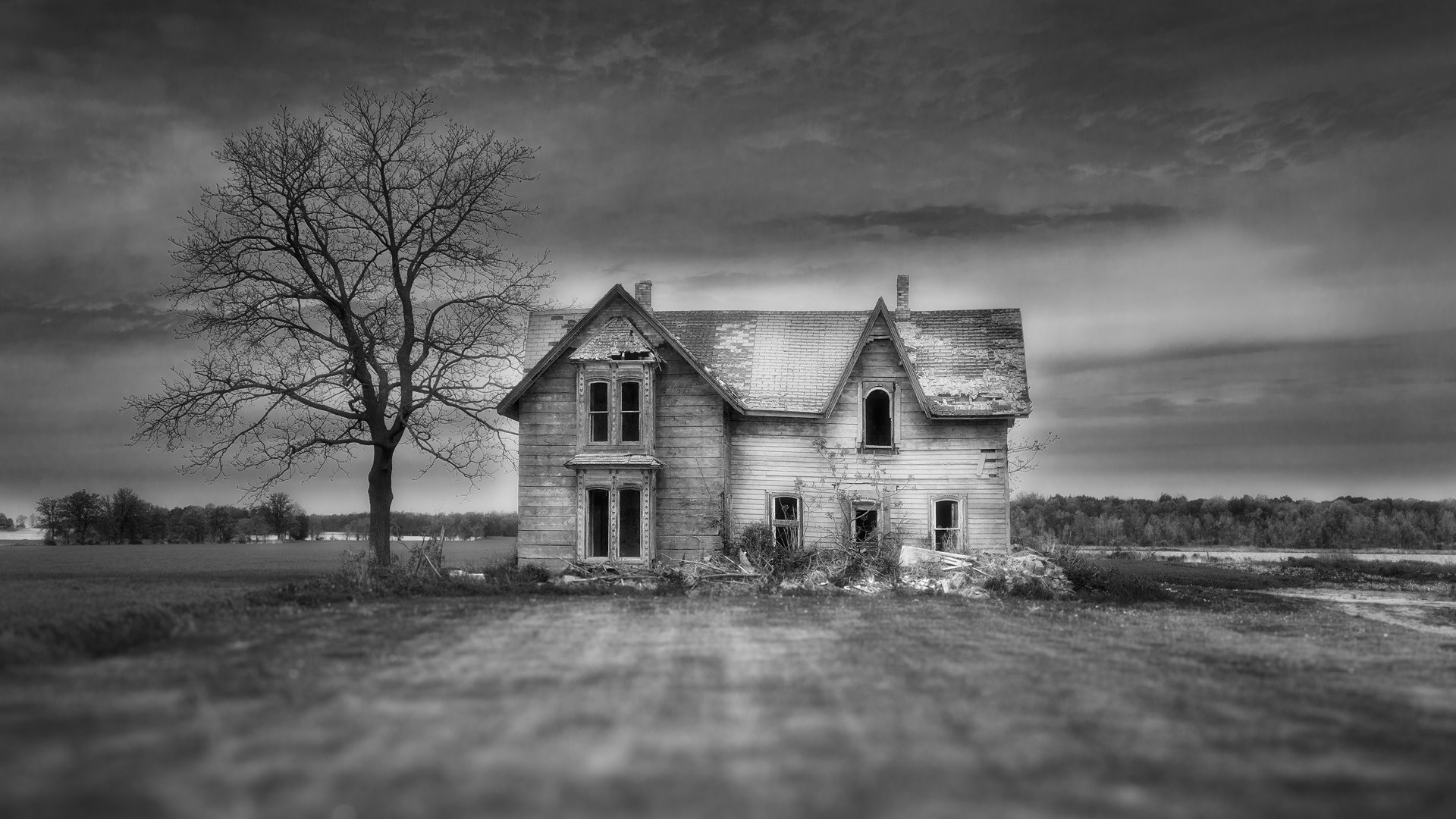 Haunted House Full HD green,black,pink,white 1920x1080 Photos